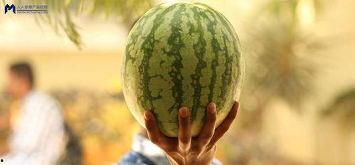 娱乐大瓜在线吃,娱乐大瓜在线吃，明星幕后故事大公开